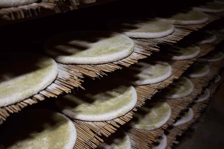 Making makgeolli, Busan, South Korea