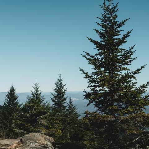 Asheville North Carolina